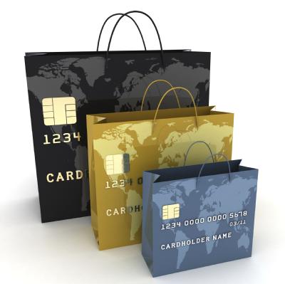 Image for Introduction to Consumer Credit
